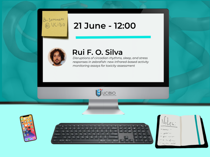 rui f.o. silva
