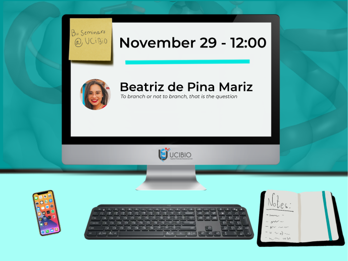 beatriz mariz