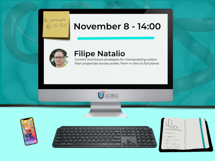 filipe natalio