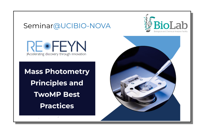Mass Photometry Principles and TwoMP Best Practices