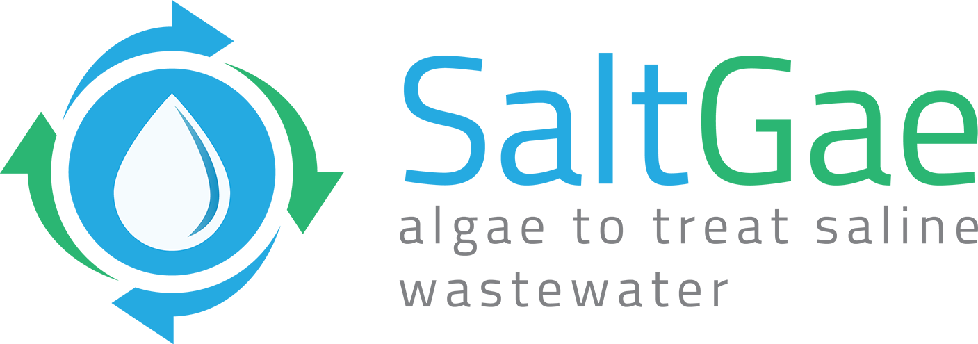 saltgae
