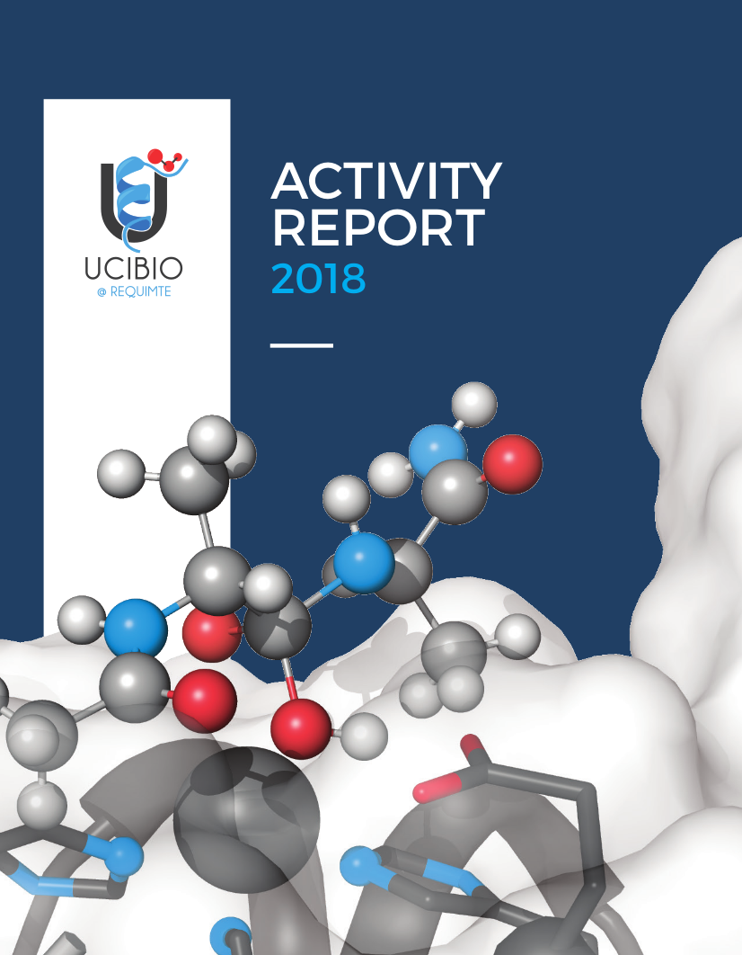 Activity Report