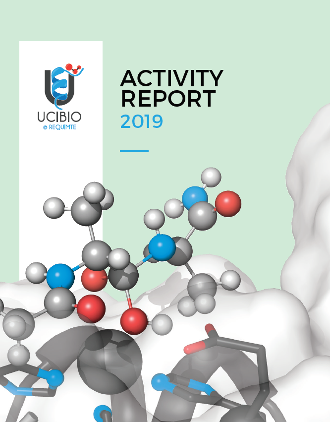 Activity Report