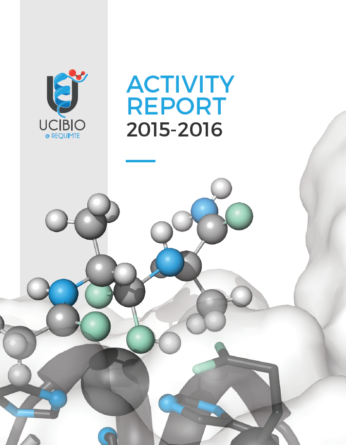 Activity Report