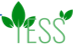 tess