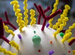 Scaled nanoparticle model