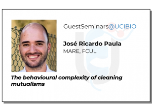jose ricardo paula