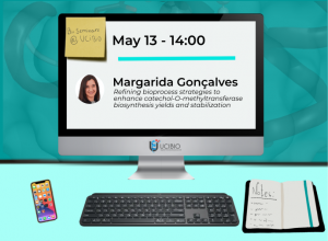 marg gonçalves