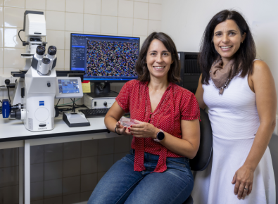 Susana Palam & Cecília Roque at the microscope